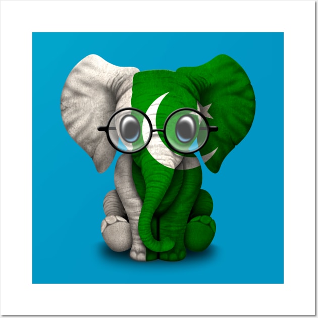 Baby Elephant with Glasses and Pakistani Flag Wall Art by jeffbartels